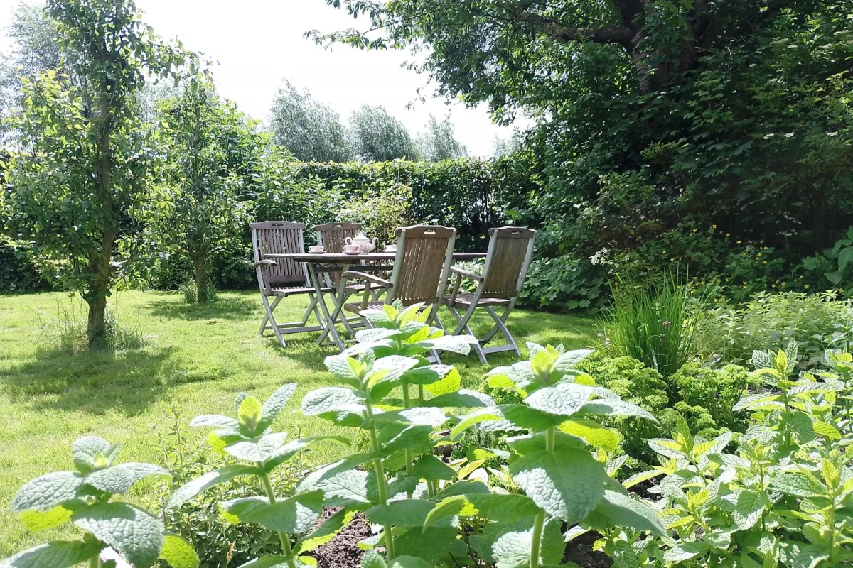 Ruime tuin met tuinmeubilair