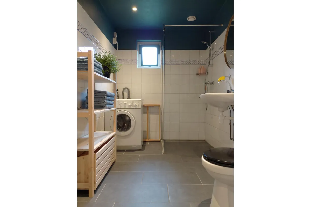 Badkamer met douche, toilet en wasmachine